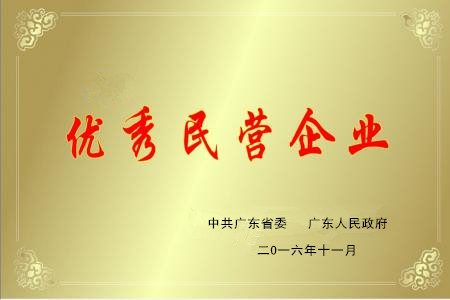 优秀民营企业